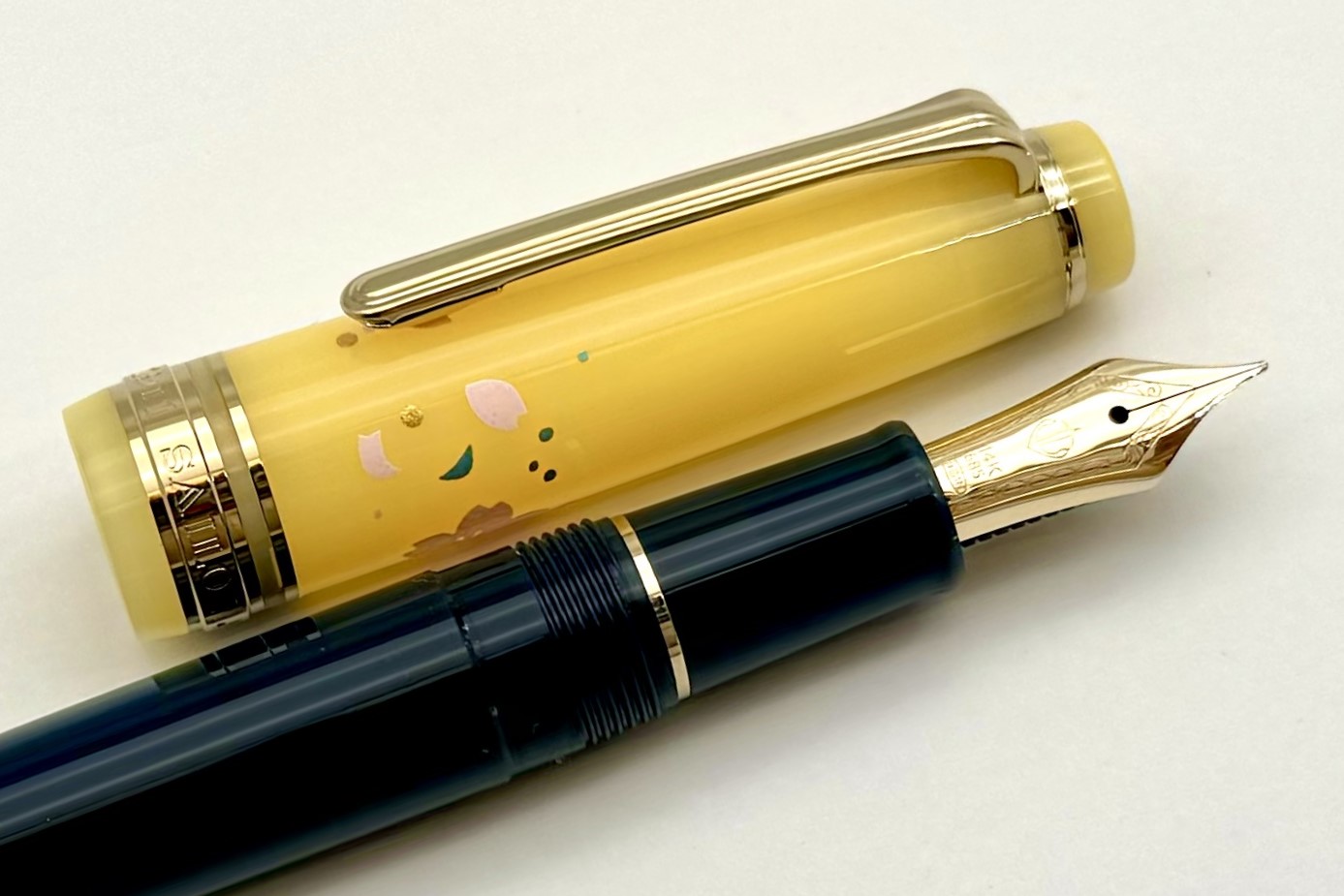 SailorProGearSlimPrincessRadenOchikuboFPSpecialPackageSet_F